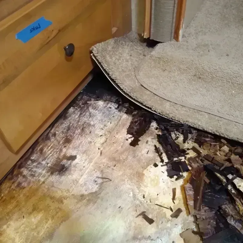 Wood Floor Water Damage in Kenilworth, NJ